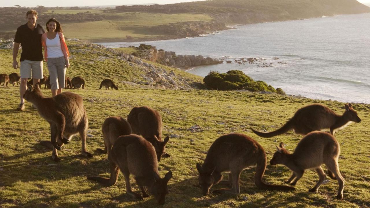 פנשואו Kangaroo Island Seafront מראה חיצוני תמונה