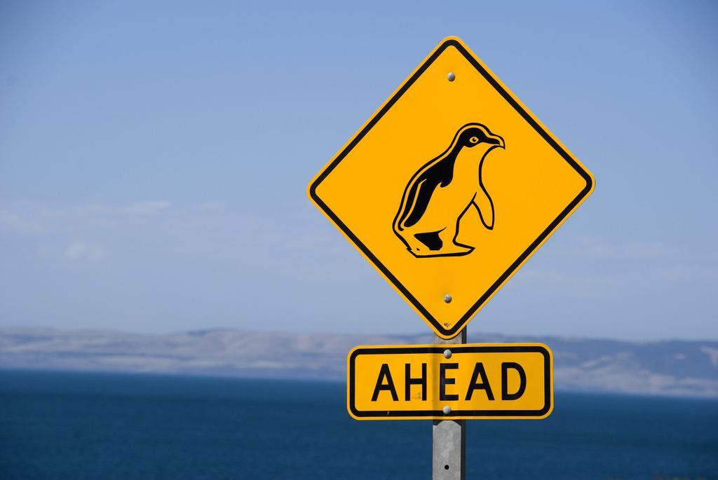 פנשואו Kangaroo Island Seafront מראה חיצוני תמונה